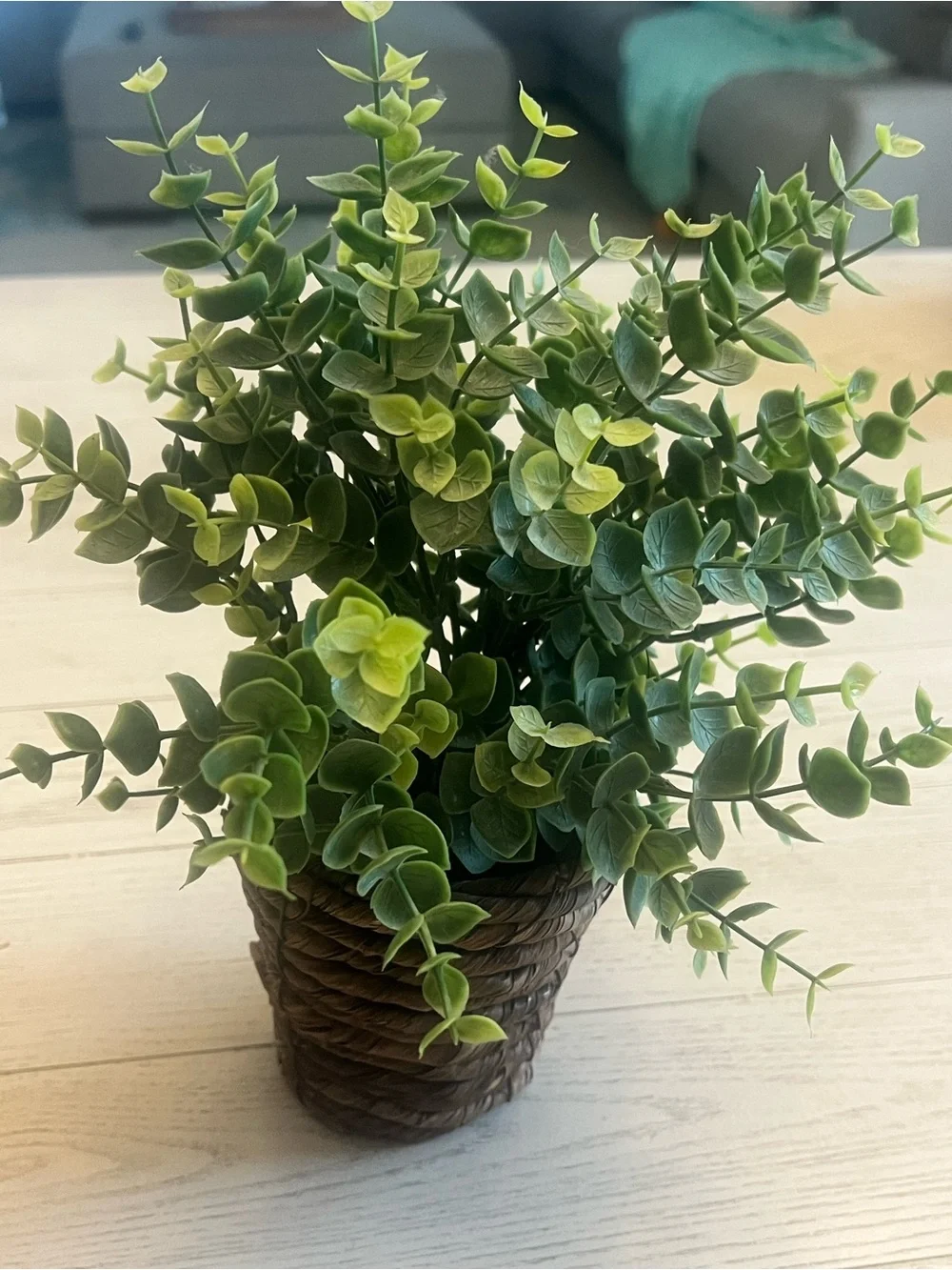 Artificial Green Eucalyptus Plant in Brown Handwoven Coiled Pot